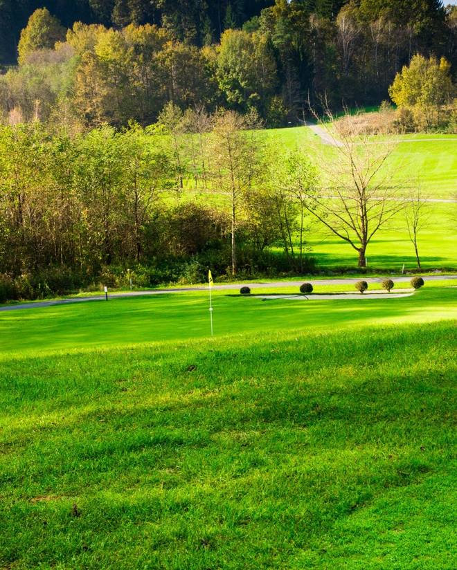 Golfgrün mit Fahne auf dem Panorama-Kurs